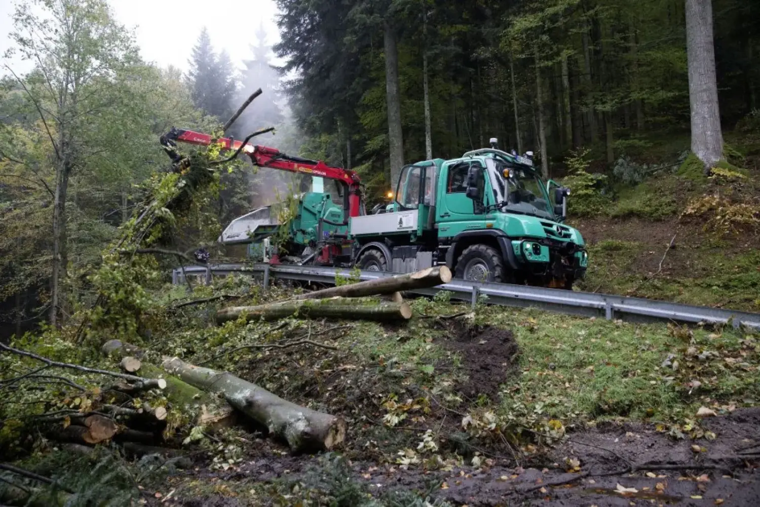 Usage en foret
